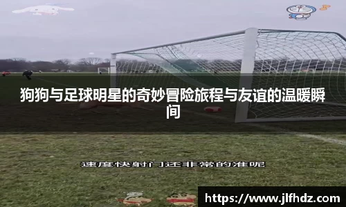 狗狗与足球明星的奇妙冒险旅程与友谊的温暖瞬间